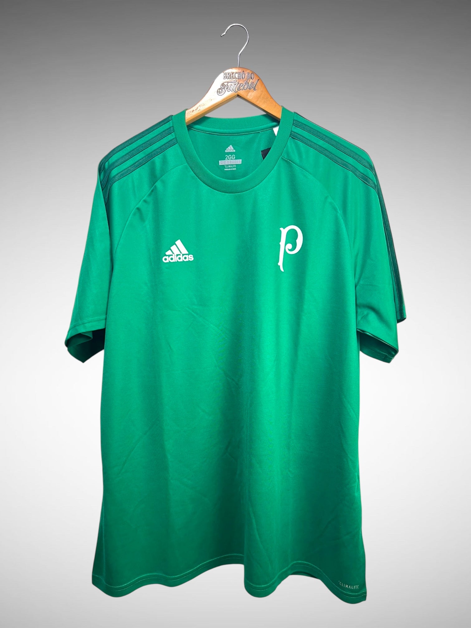 Palmeiras 2017 Camisa de Treino Tam 3G.