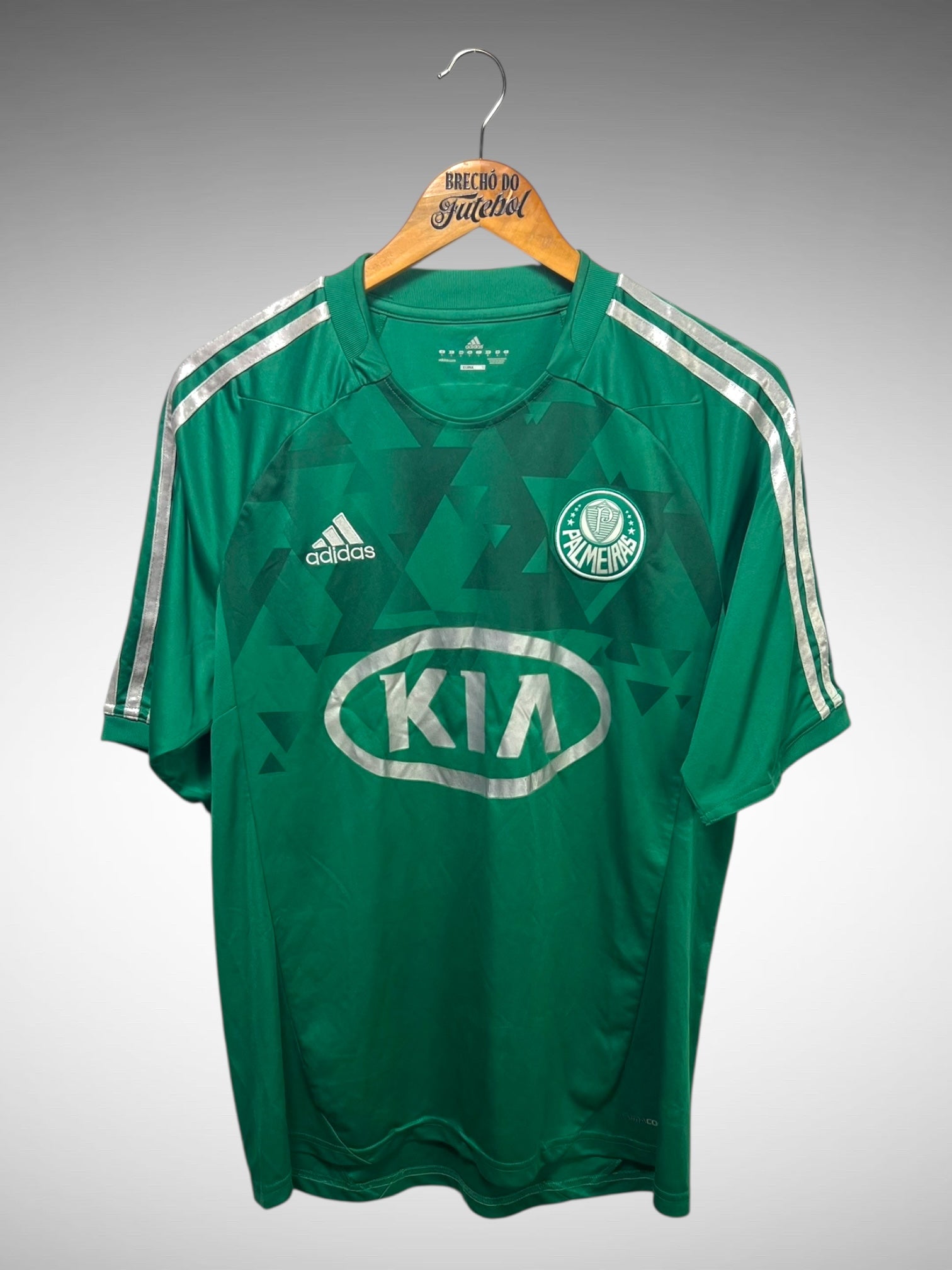 Palmeiras 2012 Primeria Camisa Tam G Nº7 Edmundo.