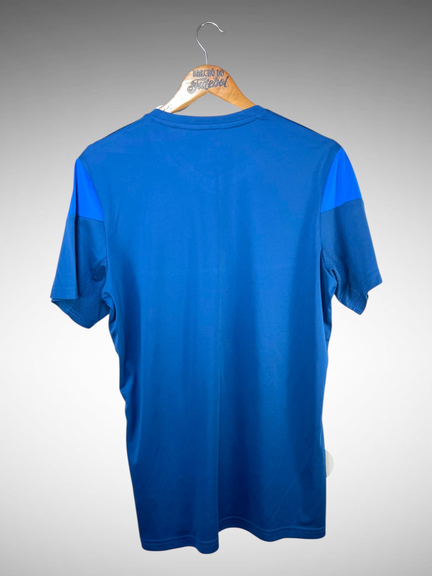 TSG Hoffenheim Camisa De Treino Tam G.