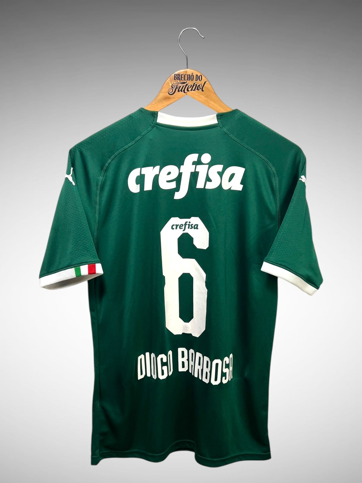 Palmeiras 2019 Primeira Camisa Tam M  Nº6 Diogo Barbosa.
