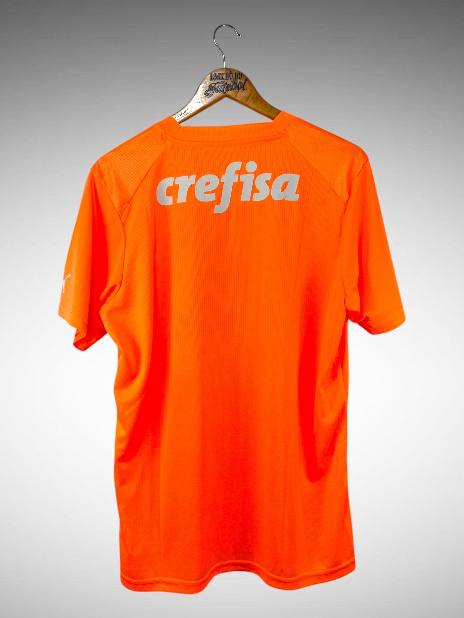 Palmeiras 2023 Camisa De Goleiro Tam G.