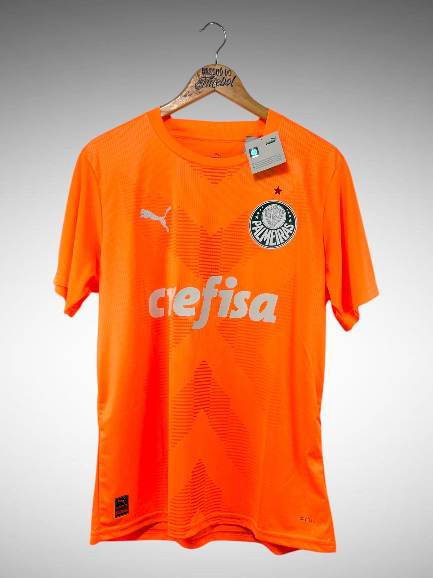 Palmeiras 2023 Camisa De Goleiro Tam G.
