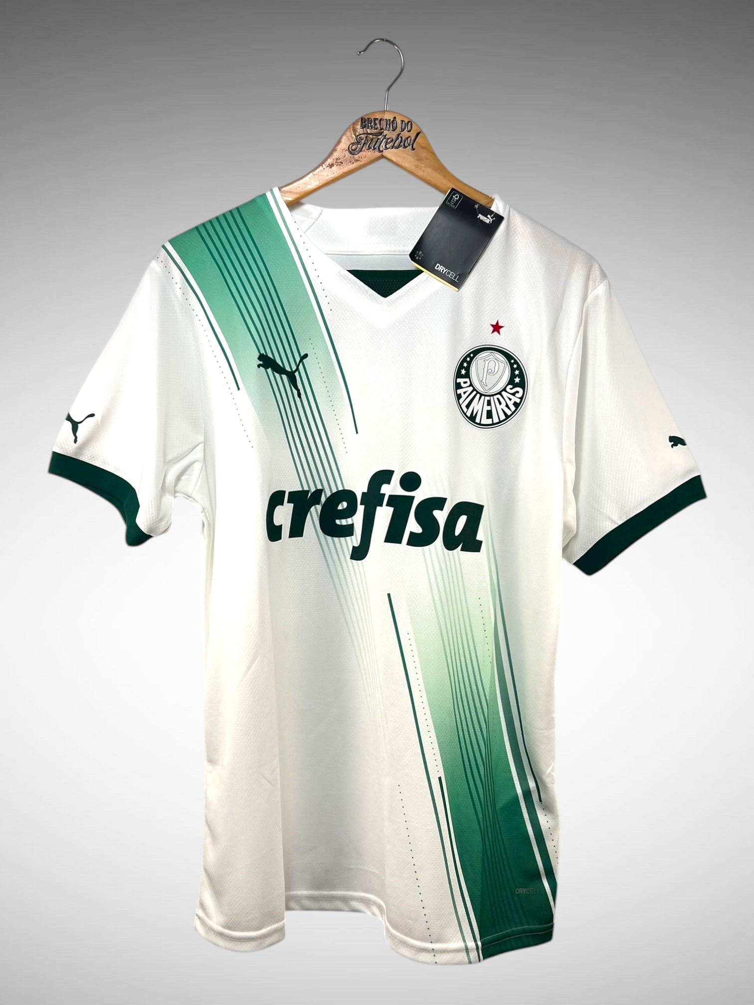 Palmeiras 2023 Segunda Camisa Tam G.