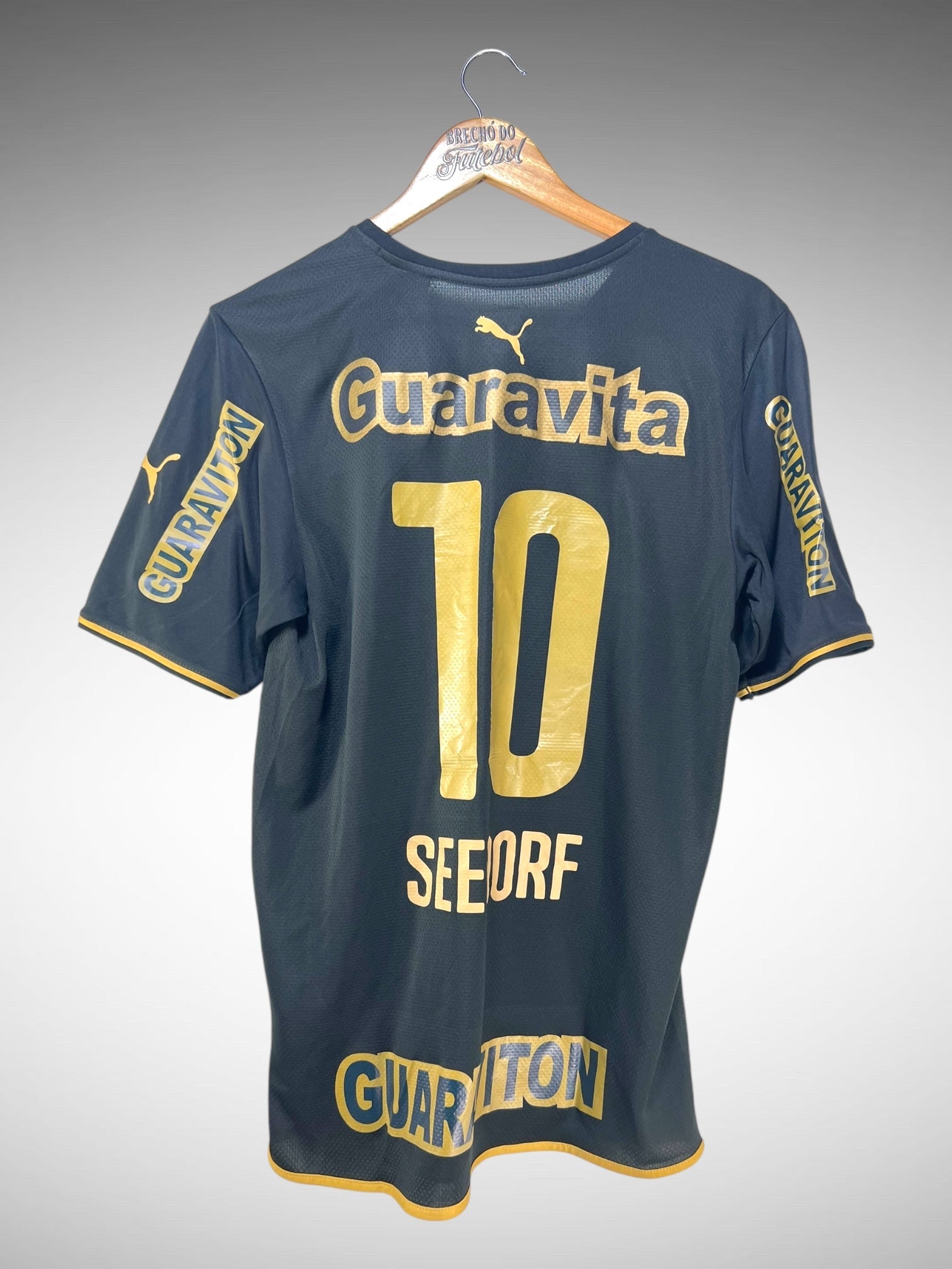 Botafogo 2014 Segunda Camisa Tam M N 10 Seedorf.