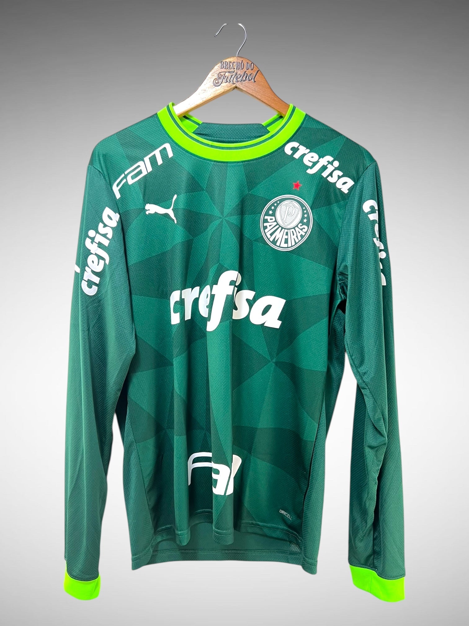 Palmeiras 2023 Primeira Camisa Tam M Mangas Longas.