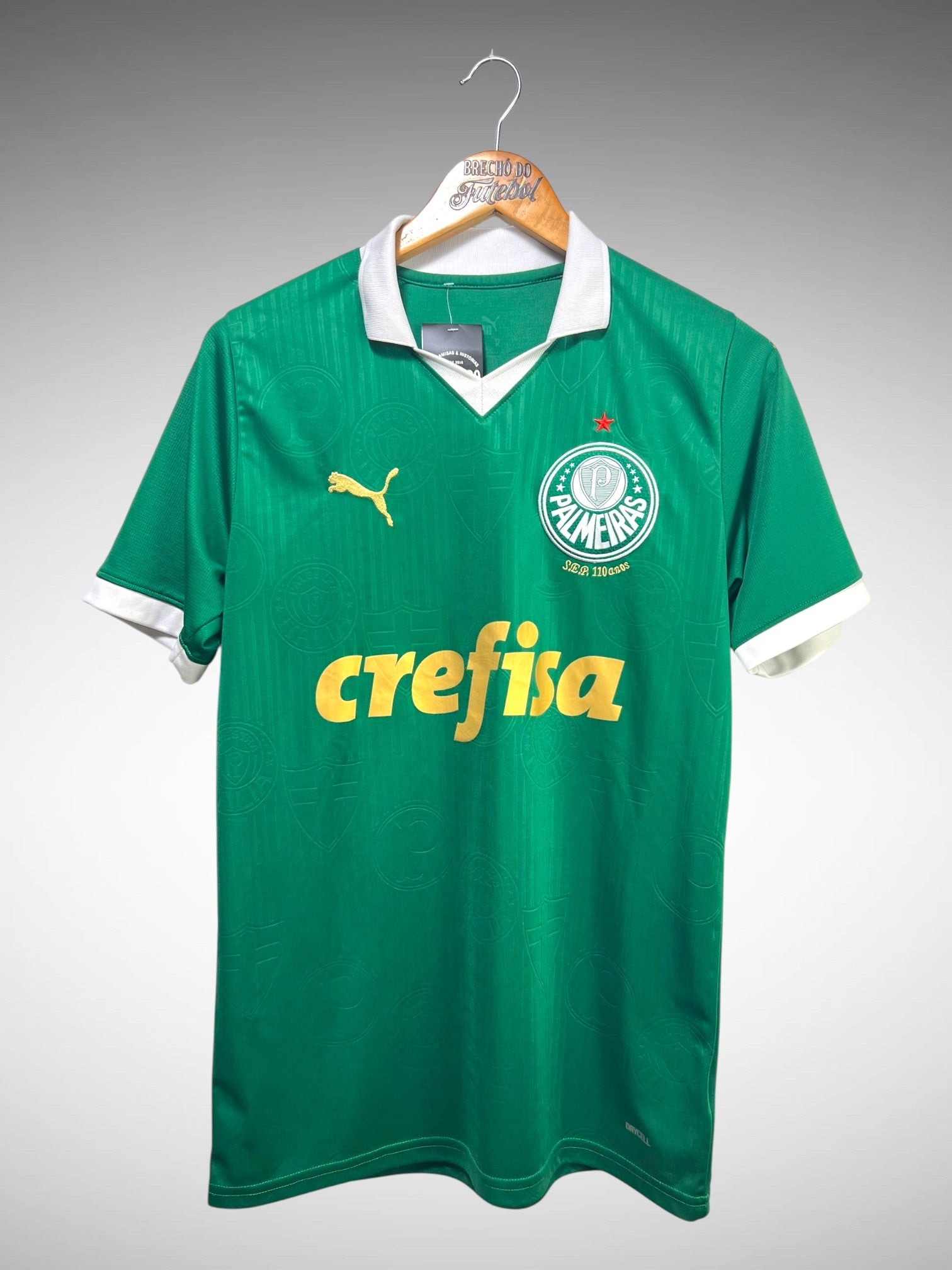Palmeiras 2024 Primeira Camisa Tam M.