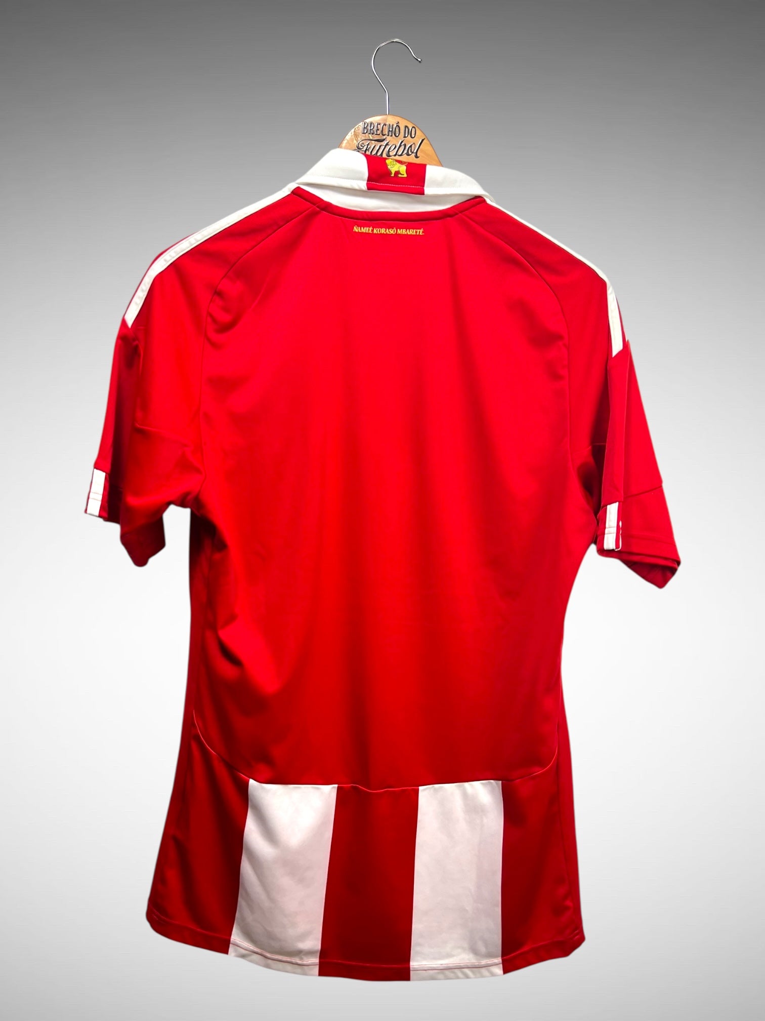 Paraguai 2010 Primeira Camisa Tam M.