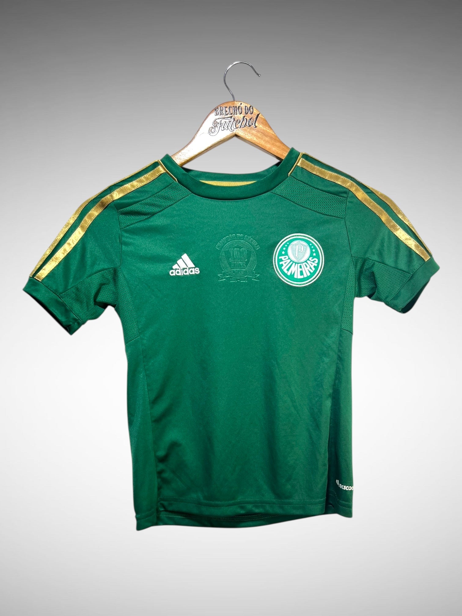 Palmeiras 2014 Primeira Camisa Tam 10 Anos Infantil.