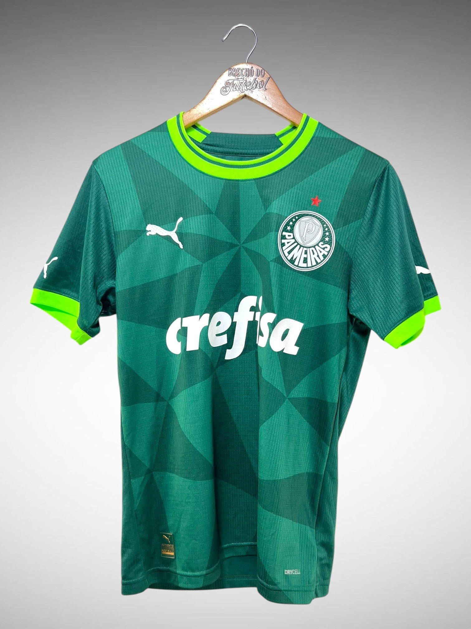 Palmeiras 2023 Primeira Camisa Tam P.