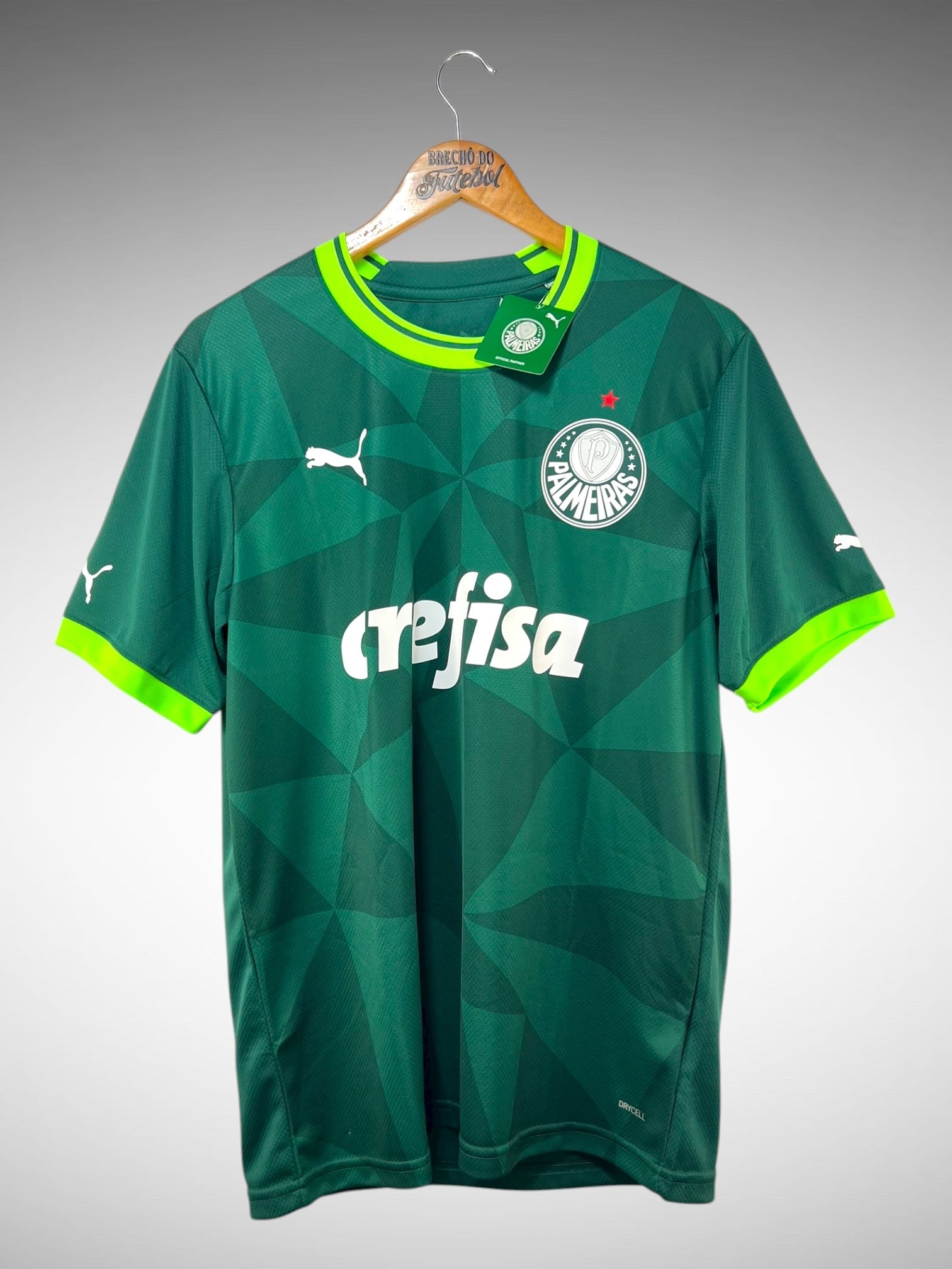 Palmeiras 2023 Primeira Camisa Tam G.