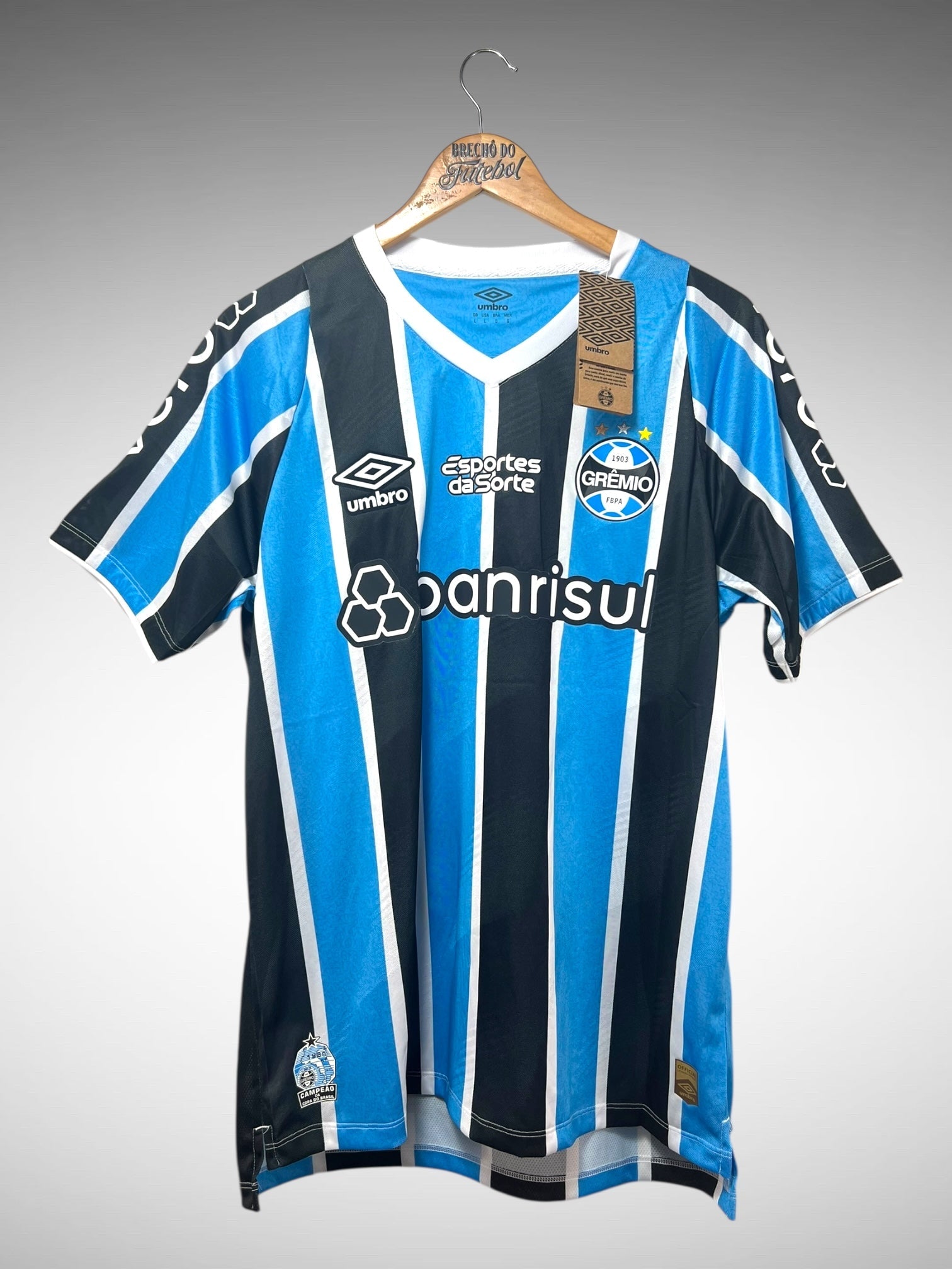 Grêmio 2024 Primeira Camisa Tam G N 19 Diego Costa.