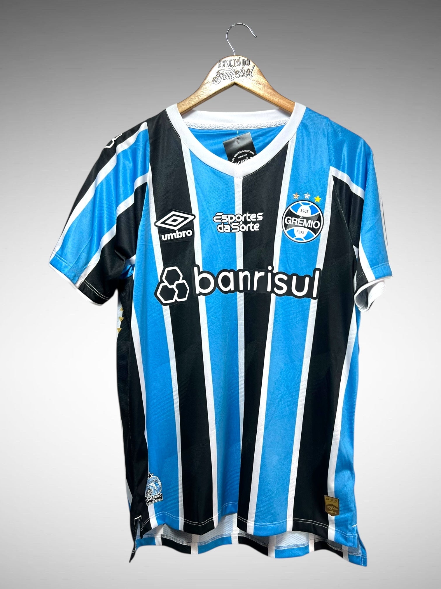 Grêmio 2024 Primeira Camisa Tam M N 47 Alysson.
