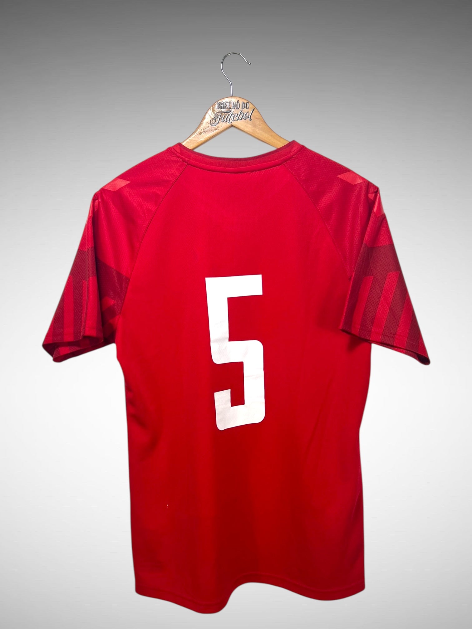 Dinamarca 2022 Primeira Camisa Tam M N 5.