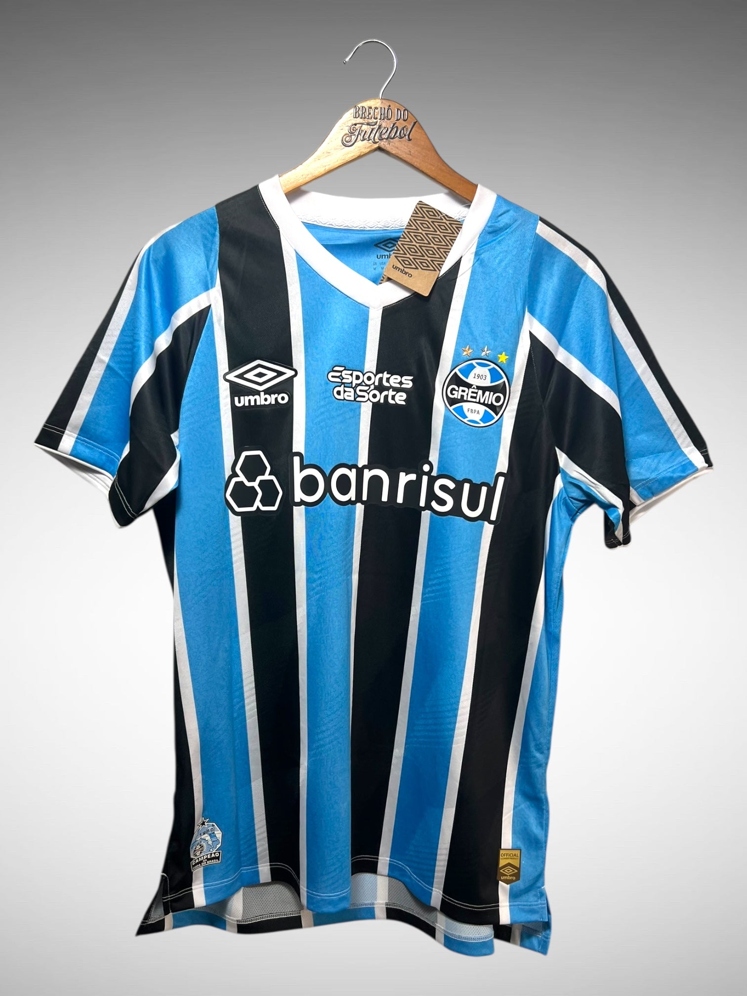 Grêmio 2024 Primeira Camisa Tam M N 19 Diego Costa.