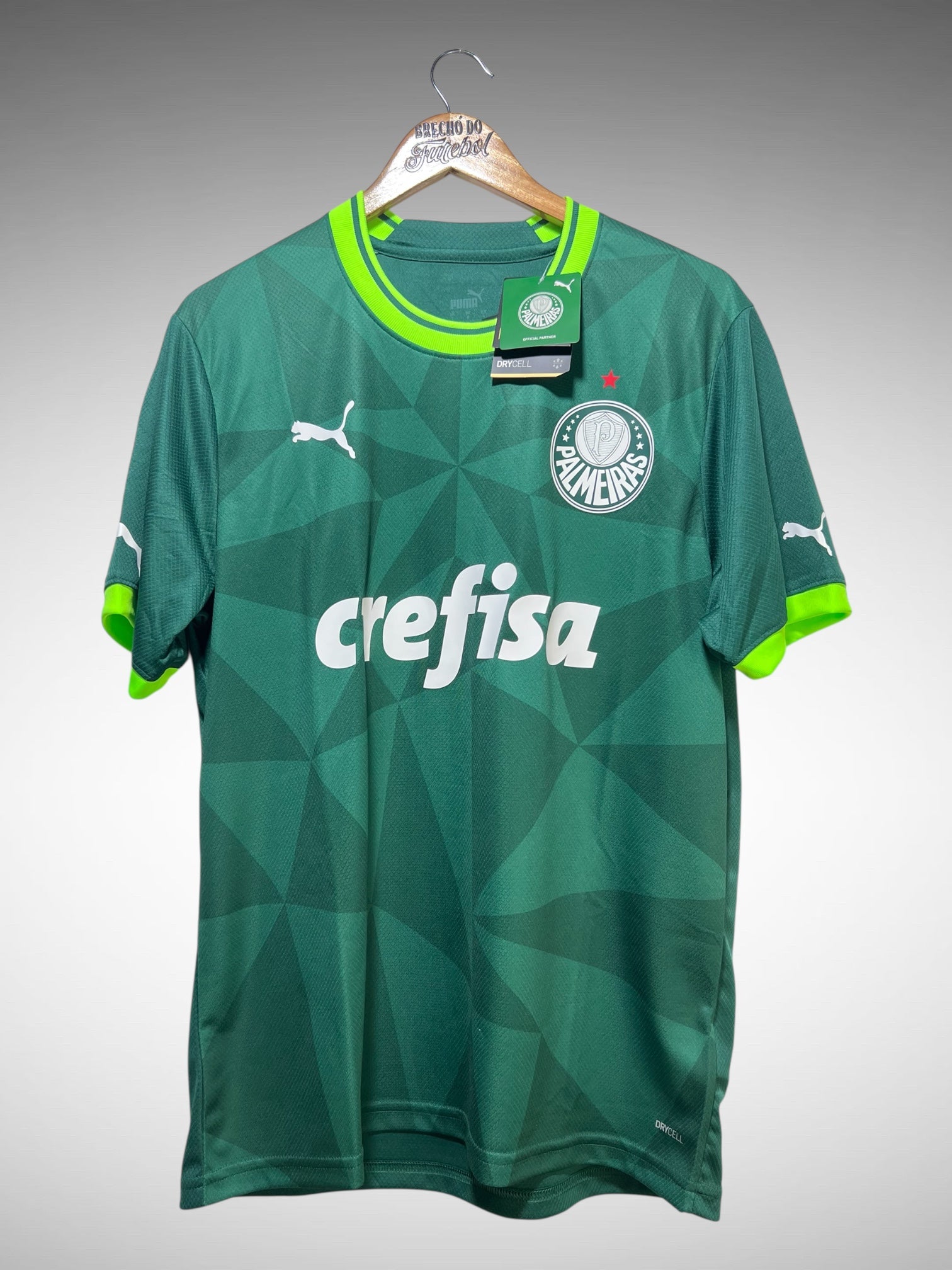 Palmeiras 2023 Primeira Camisa Tam G.