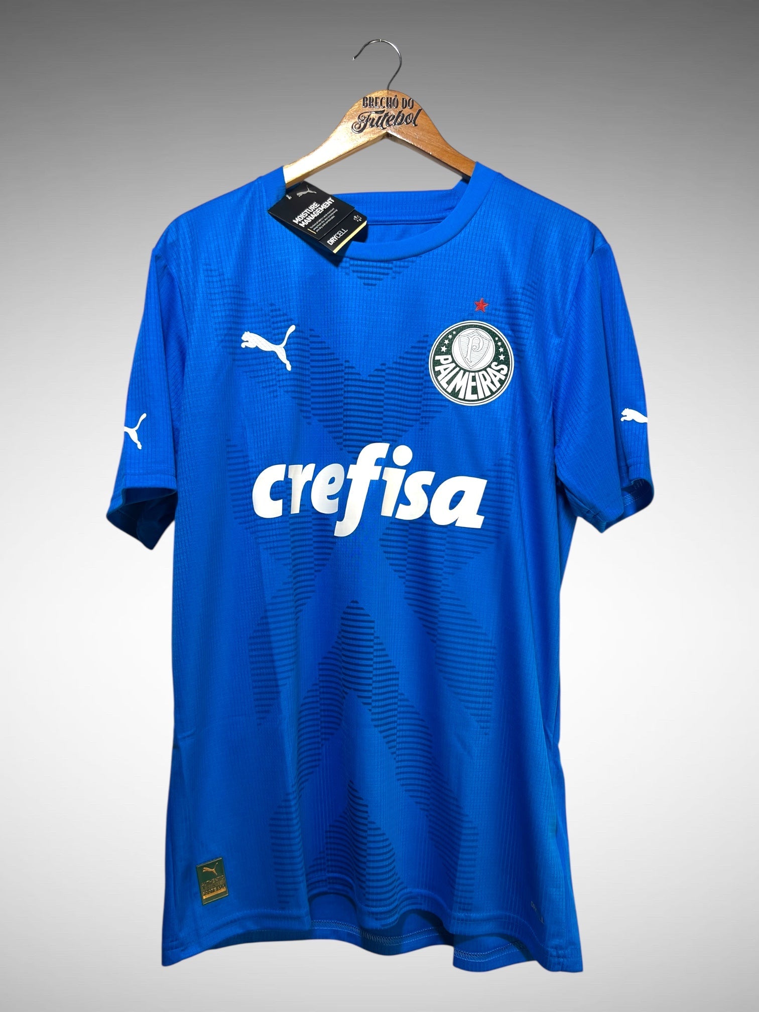 Palmeiras 2023 Camisa De Goleiro Tam G.