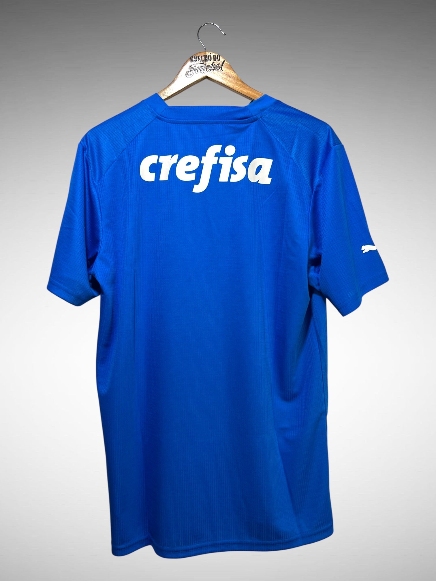 Palmeiras 2023 Camisa De Goleiro Tam G.