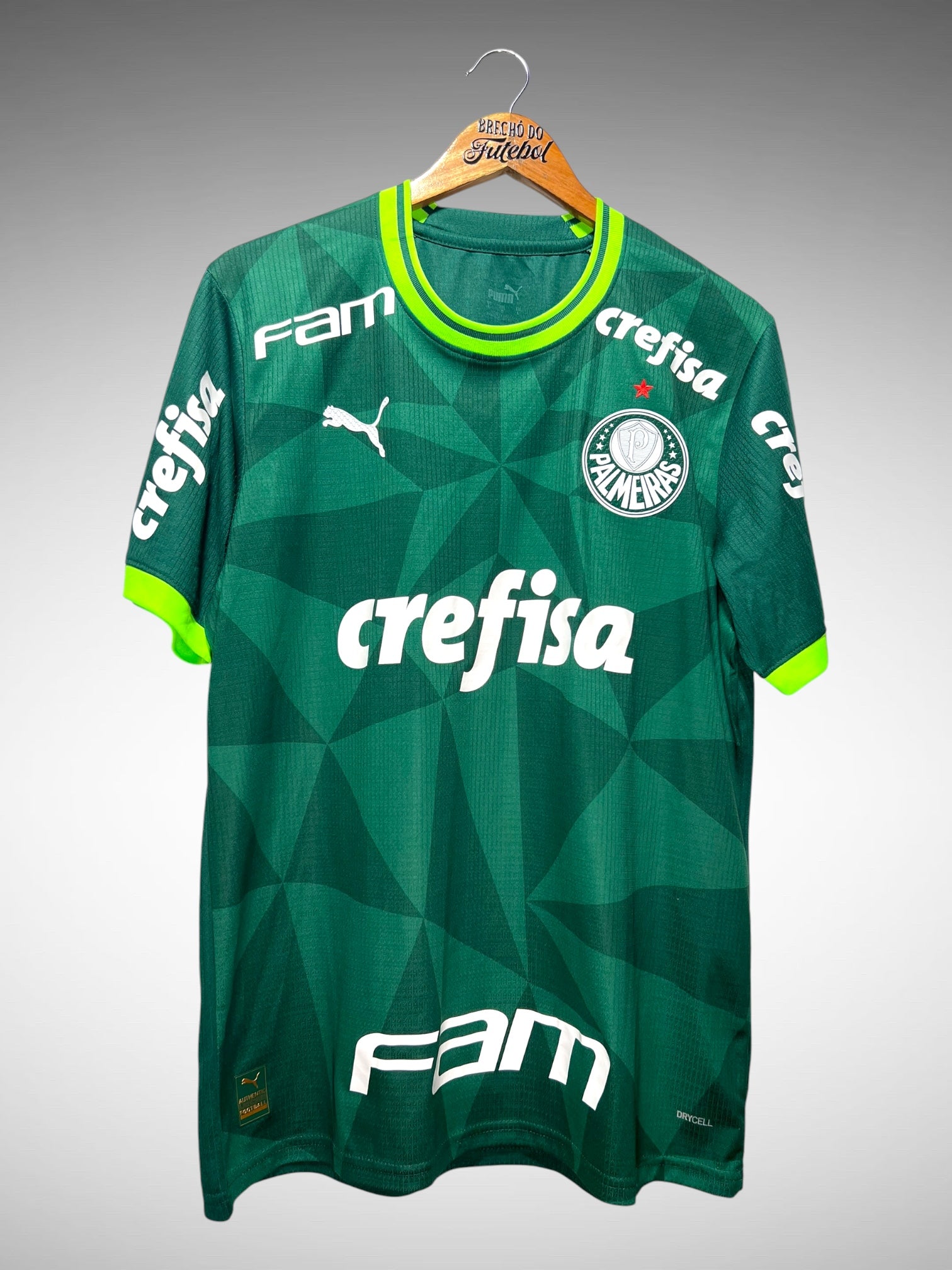 Palmeiras 2023 Primeira Camisa (Base) Tam G N 28.