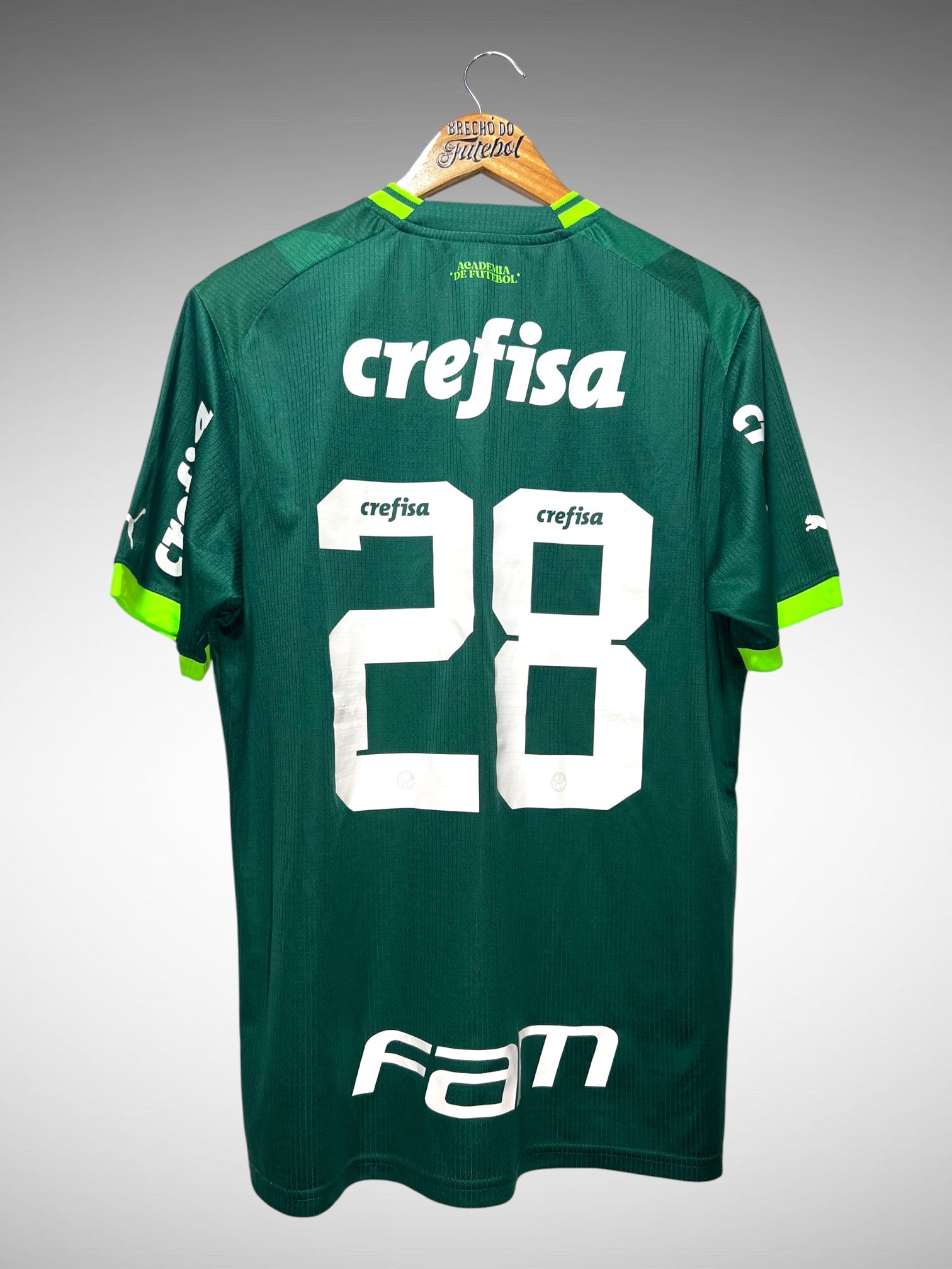Palmeiras 2023 Primeira Camisa (Base) Tam G N 28.