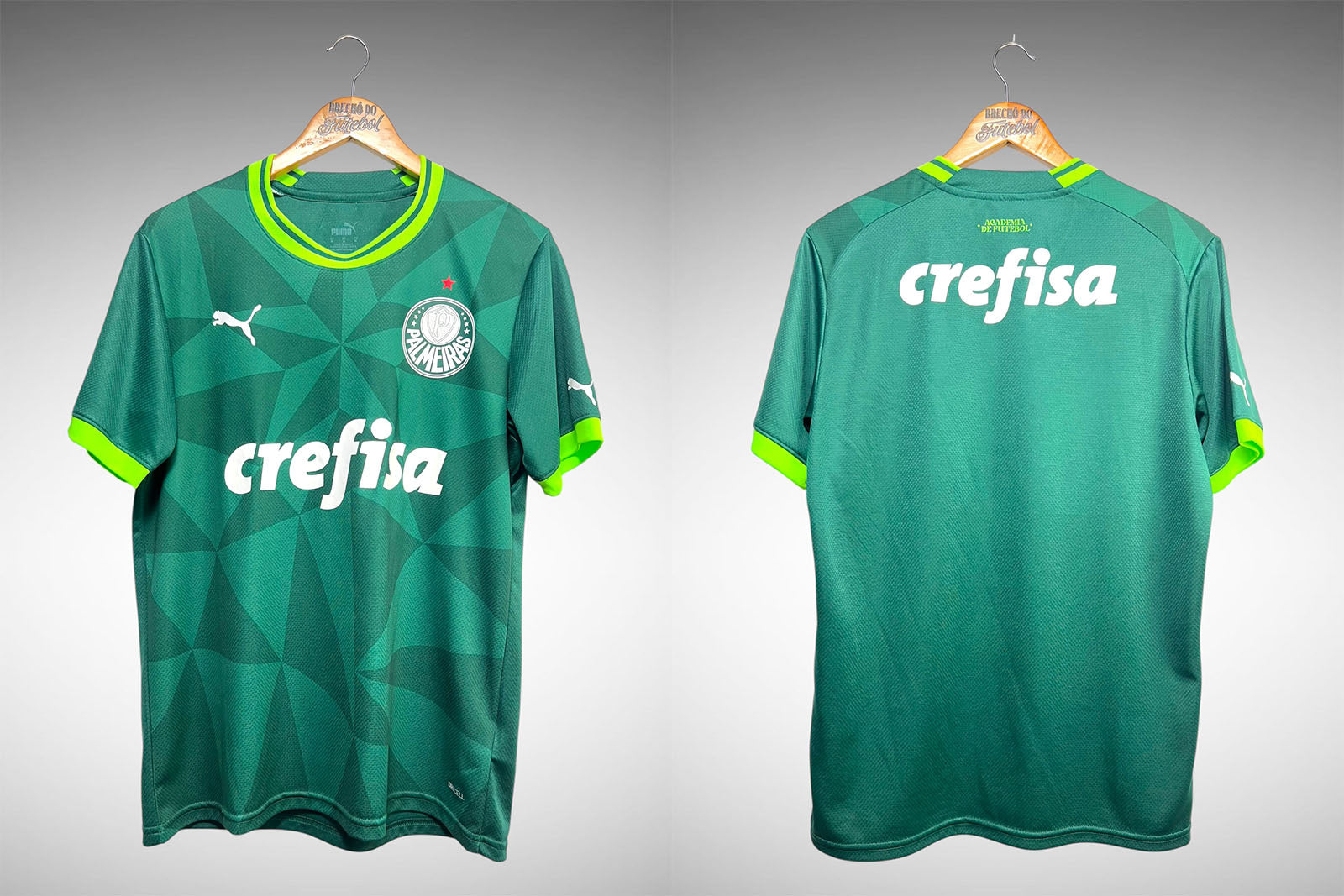Palmeiras 2023 Primeira Camisa Tam M.