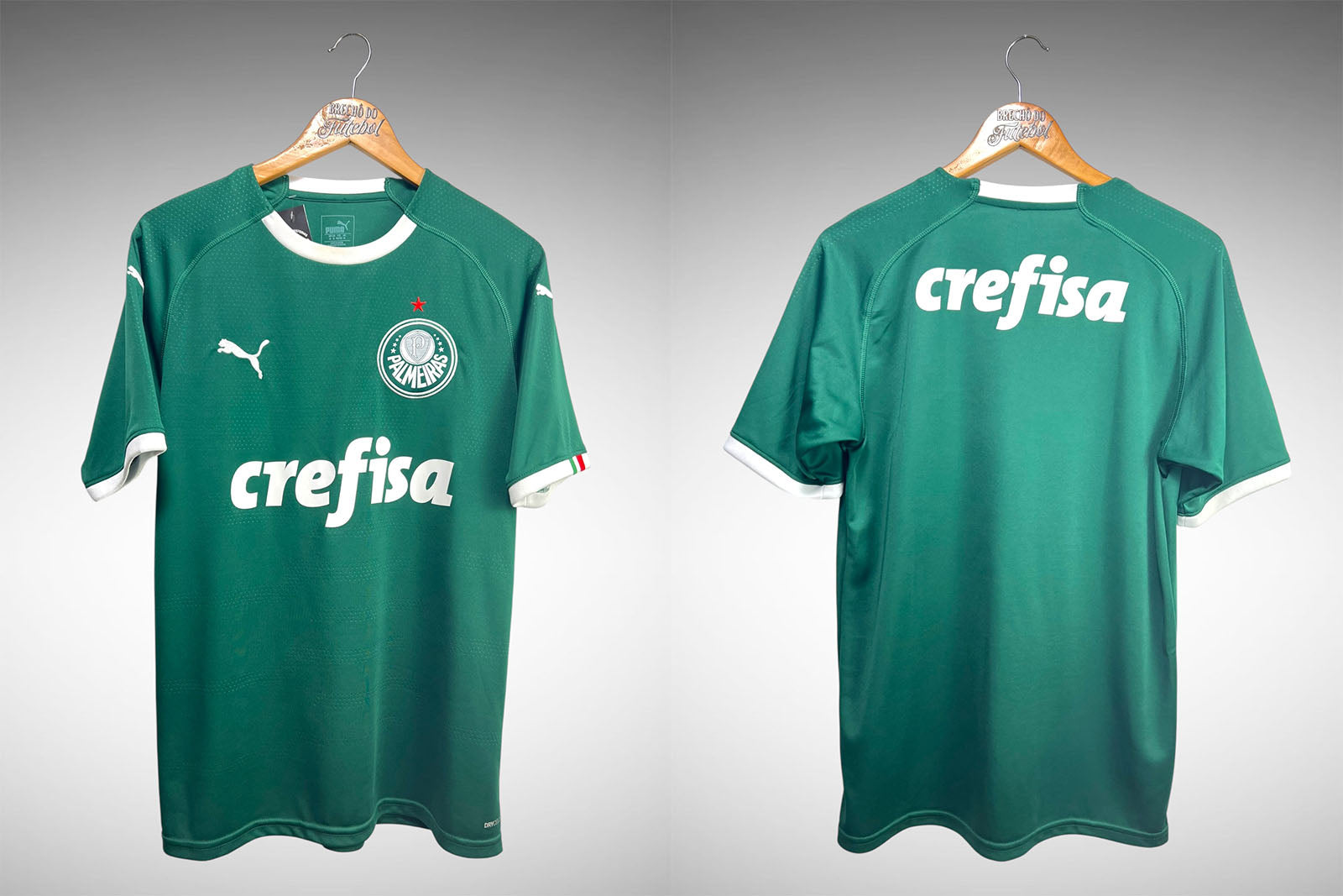 Palmeiras 2019 Primeira Camisa Tam M.
