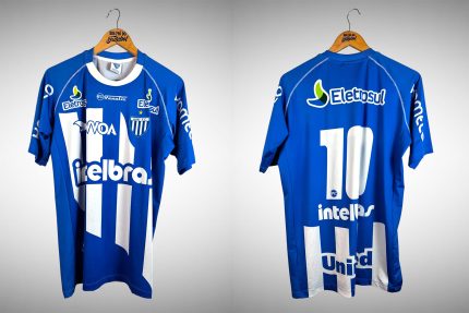 Avaí 2010 Quarta Camisa Tam M Nº 10.